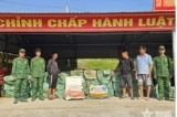 Hơn 6 tấn nầm lợn, trứng gà non đông lạnh bị phát hiện tại xã biên giới Quảng Ninh